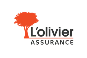 assureur bris de glace olivier assurance